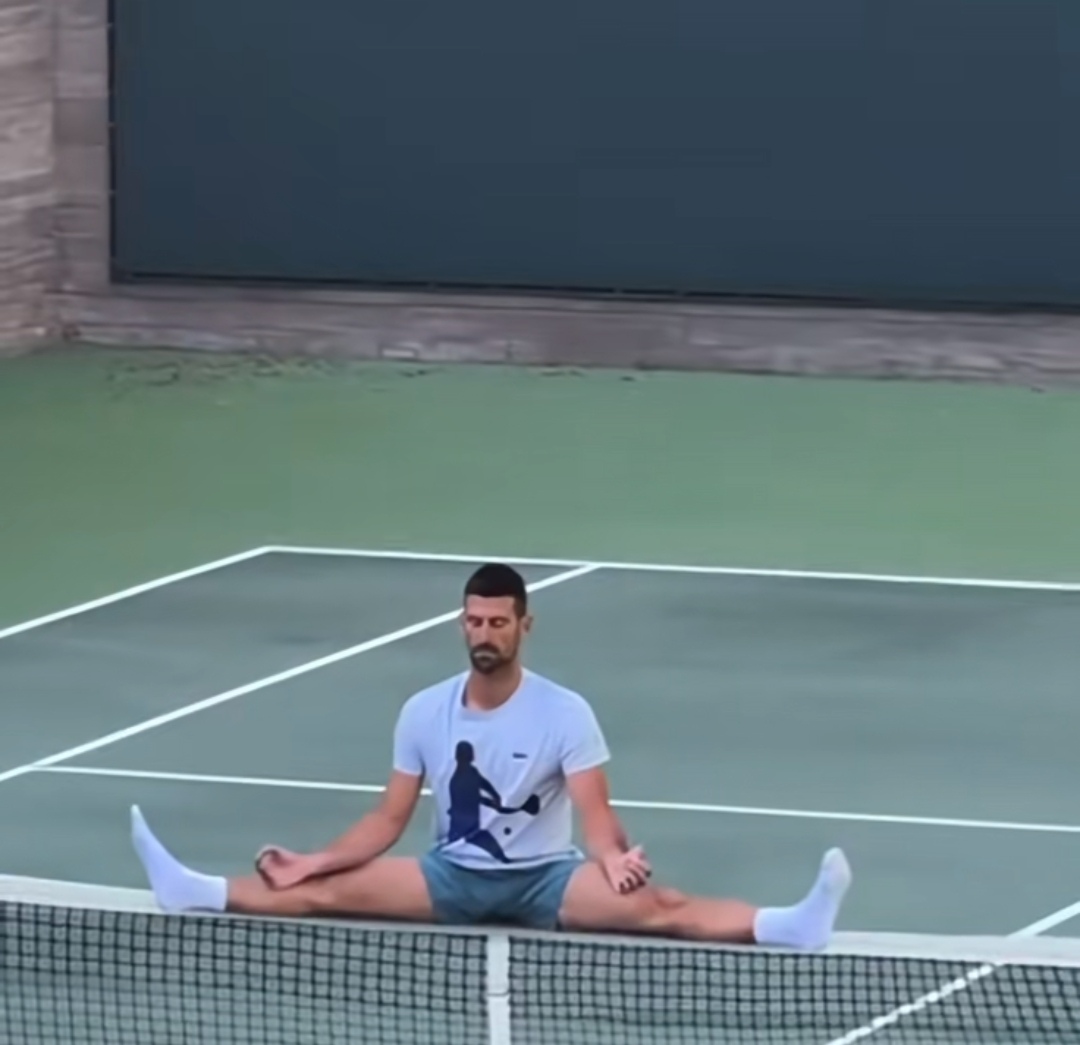 日本网球队翻盘德国网球队，德约科维奇高光表现的简单介绍