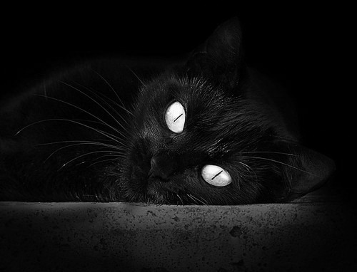 征服者的背叛，当周冠宇用威廉姆斯之手，撕碎阿斯顿·马丁的旧秩序