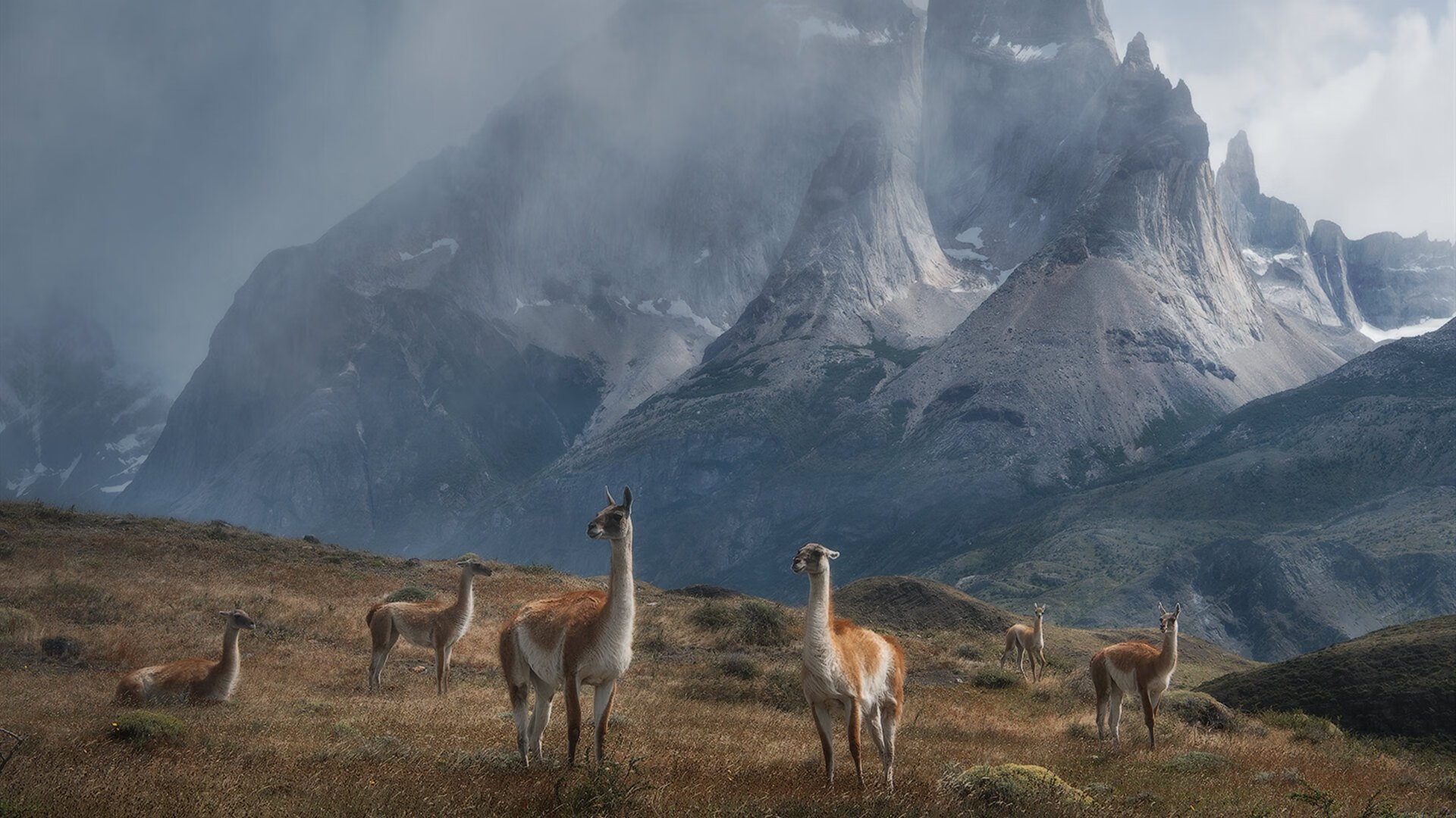 红色战神单骑叩关，当哈登在猛龙主场打碎天花板