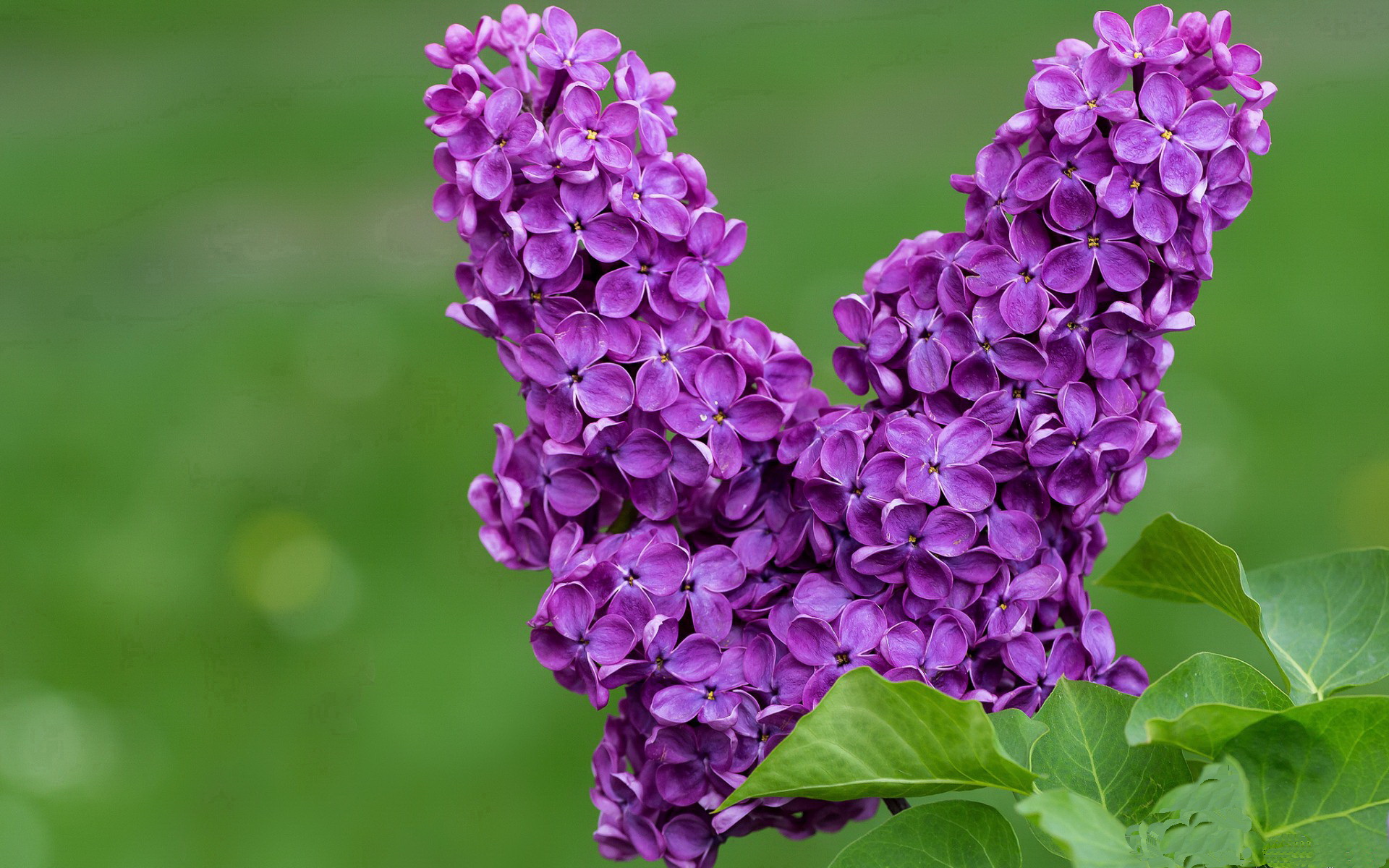 看到这个充满想象力的关键词组合，我为你构思了几个不同角度的文章标题，它们各自能引向一篇风格独特的文章