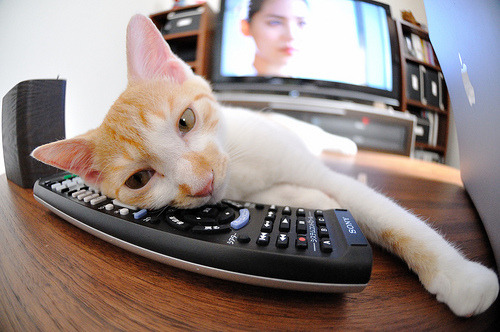 长江畔与圣城的双城记，文班亚马的攻防转换哲学如何连接山西队与马刺的节奏密码