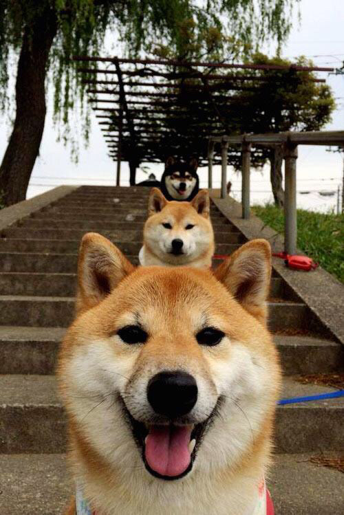 另类英雄主义，当努涅斯与比利时队同时改写剧本