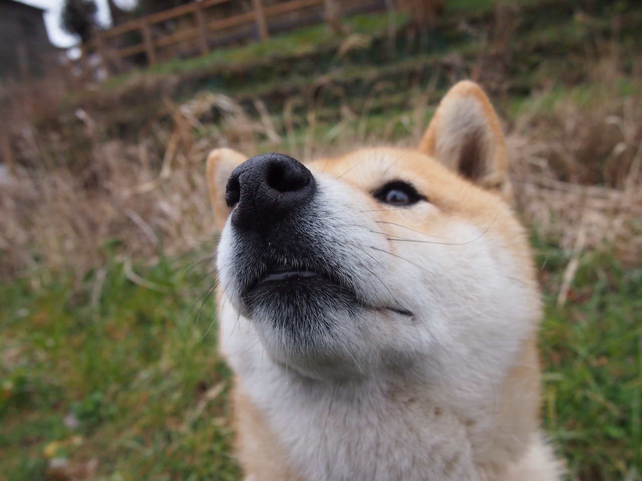 铁血双城记，新疆加时鏖战雷霆，戈贝尔禁区法则封神东决夜