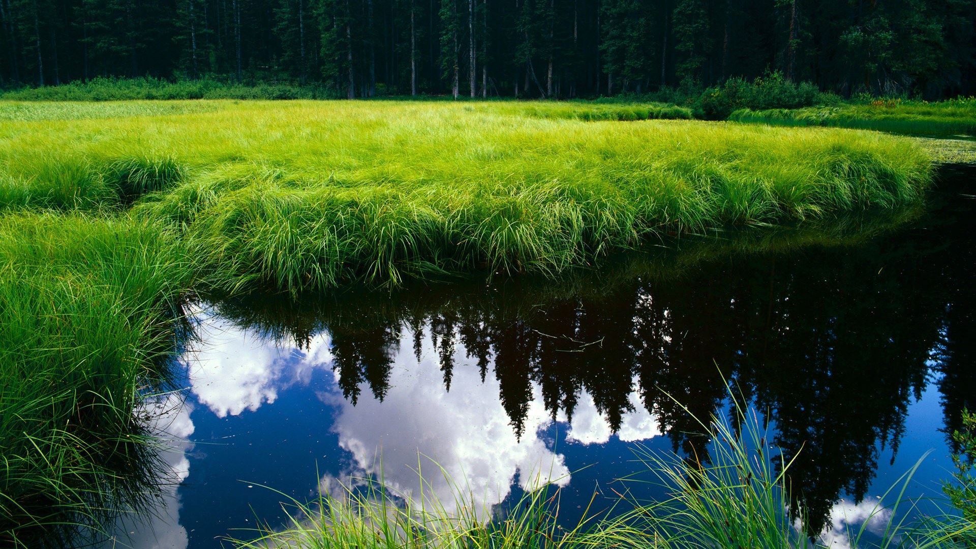 东西方交汇的史诗对决，利拉德改写篮球维度