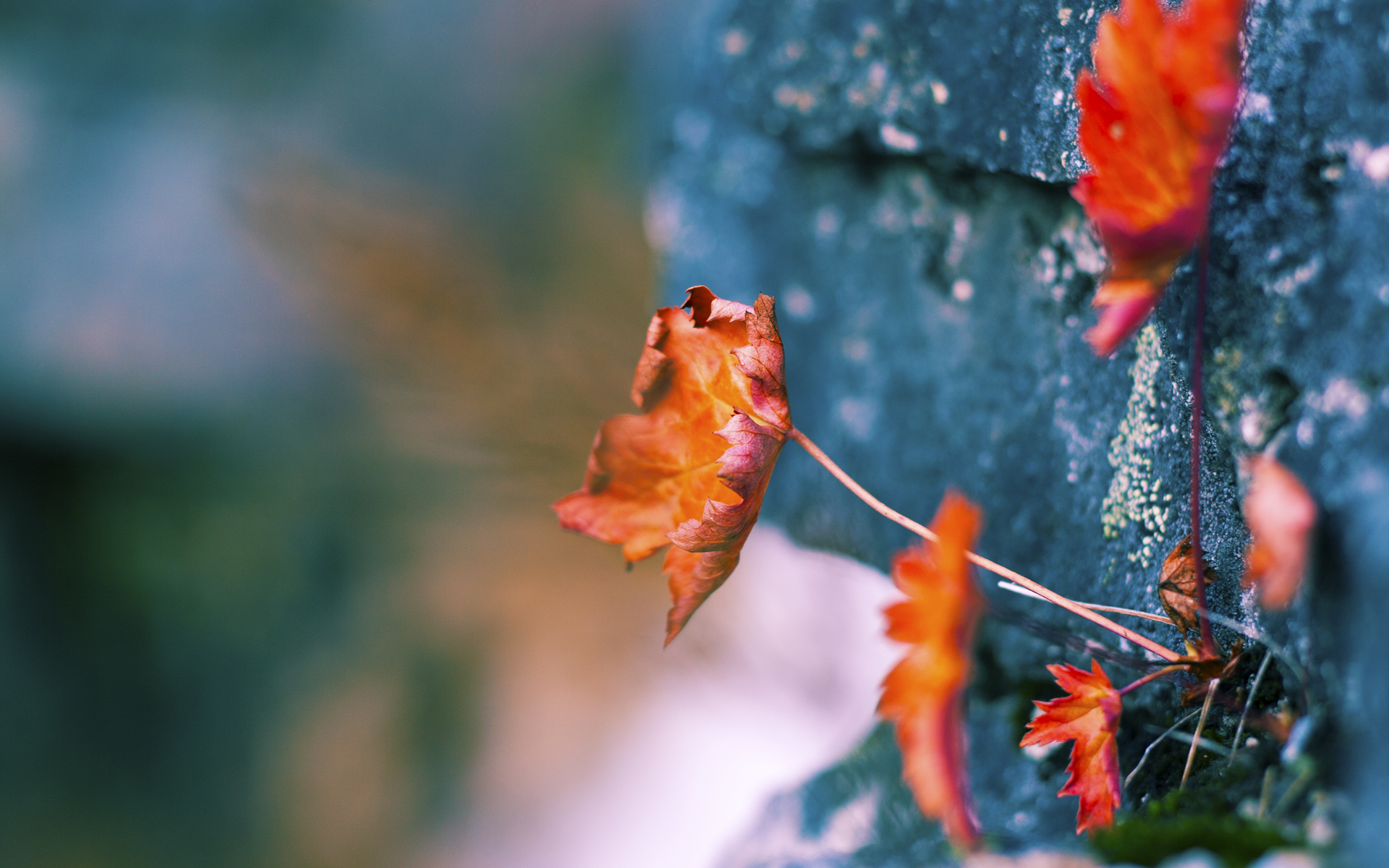 终极魔幻秀,当保罗于F1新赛季揭幕战接管比赛,魔术悄然收割马刺