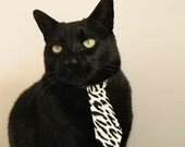 当阿根廷的奥地利遇上NBA的德里赫特