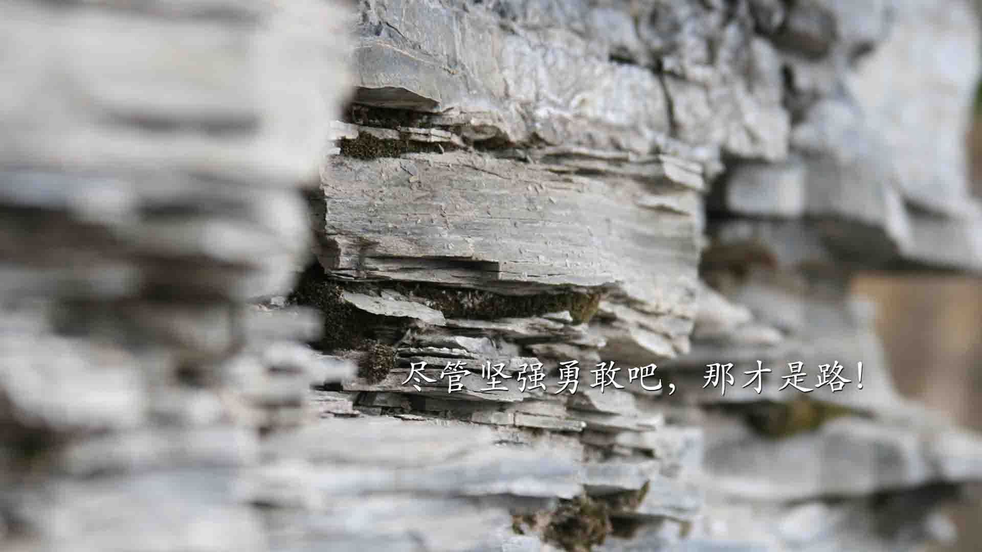 这是一篇为您定制的文章。在构思时,我跳脱了英格兰vs越南这一现实中几乎不可能出现的对阵(因为两队实力悬殊)将其置于一个虚构的世界杯扩军或跨大洲邀请赛背景下,以确保故事的戏剧性和唯一性