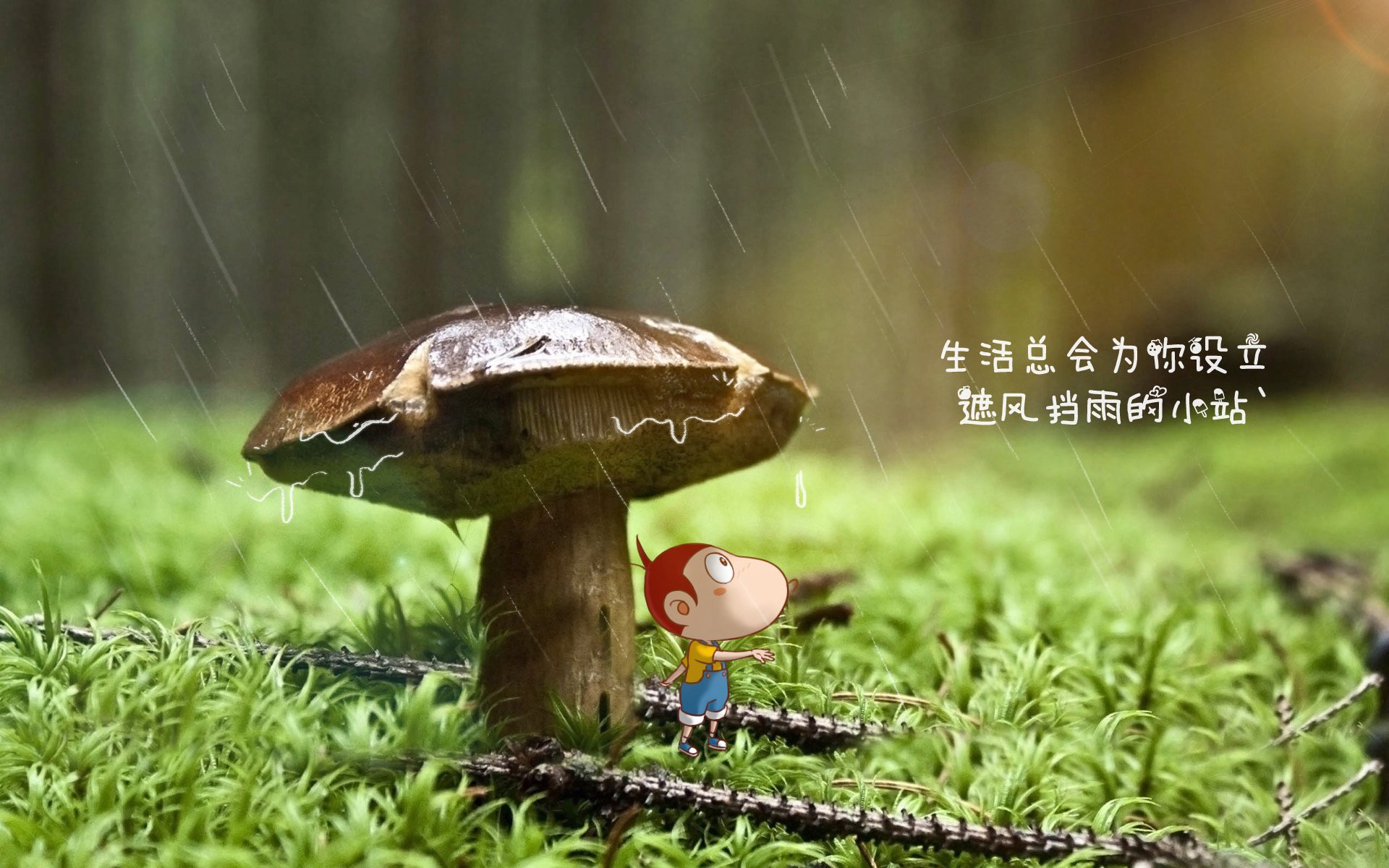 北欧神话,2026世界杯G组焦点战,挪威逆转英格兰,德布劳内以一人之力改写历史
